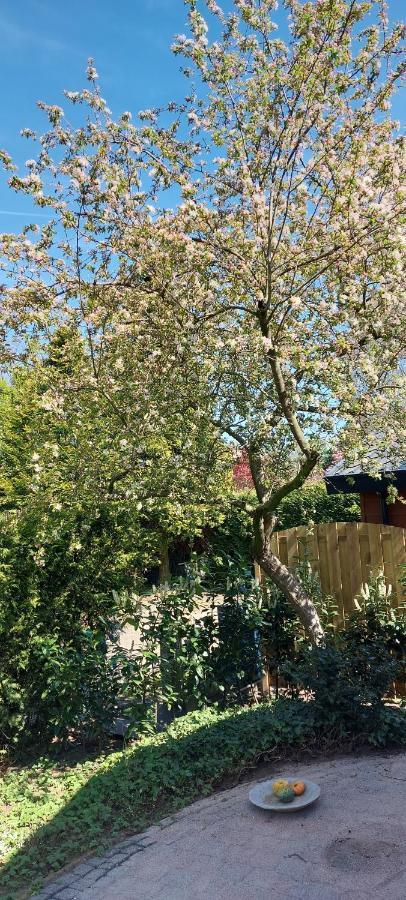 Natuur, Comfort, Rust, Mooie Omgeving Putten Exterior foto